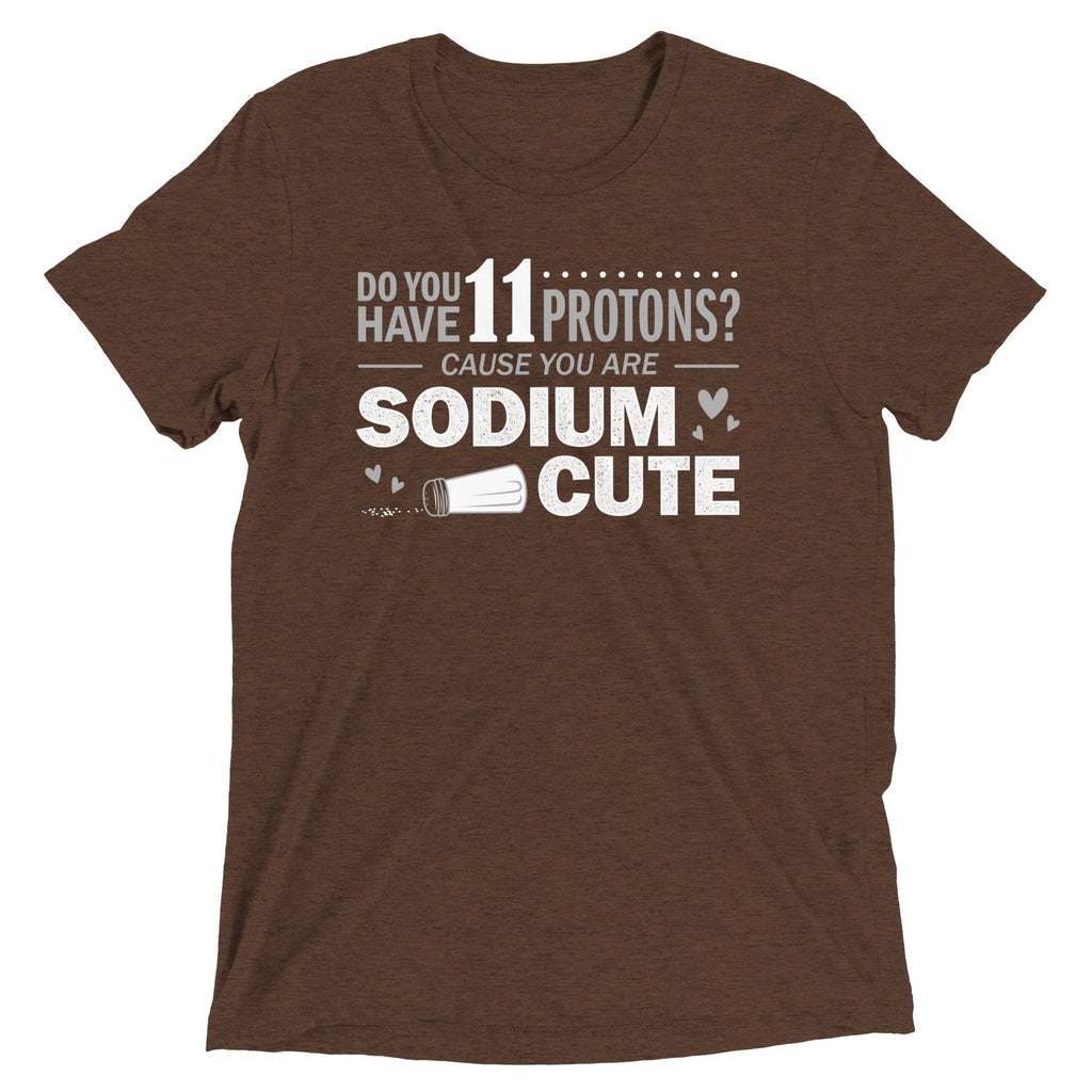 Do You Have 11 Protons? Men's Tri-Blend Tee product image 1