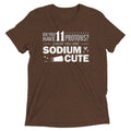 Do You Have 11 Protons? Men's Tri-Blend Tee product image 1