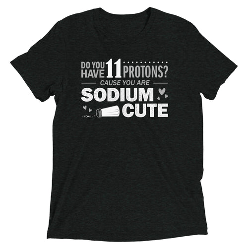 Do You Have 11 Protons? Men's Tri-Blend Tee product image 2