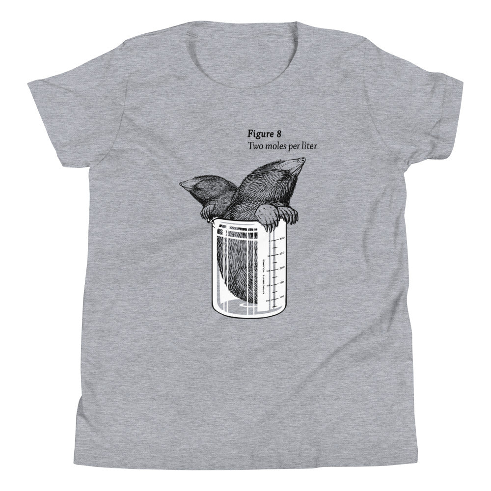 Two Moles Per Liter Kid's Youth Tee product image 1