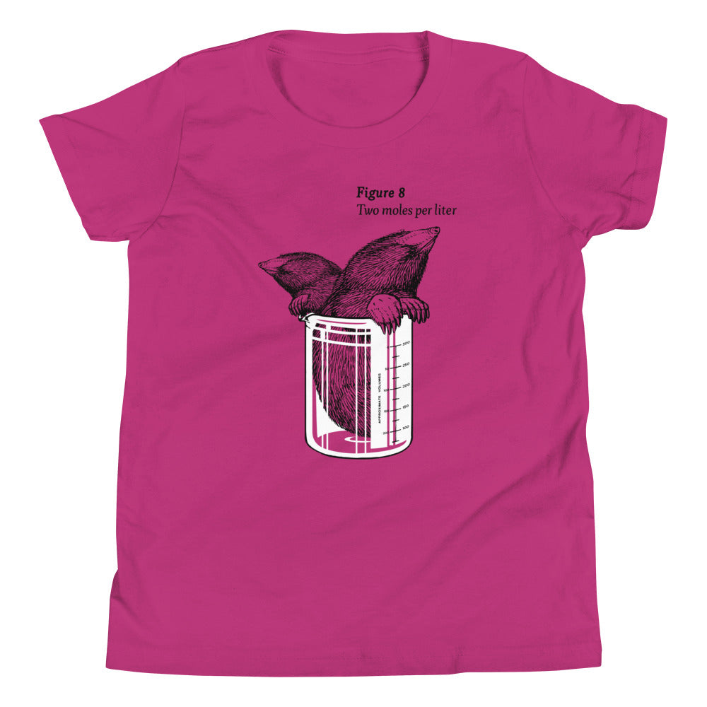 Two Moles Per Liter Kid's Youth Tee product image 5
