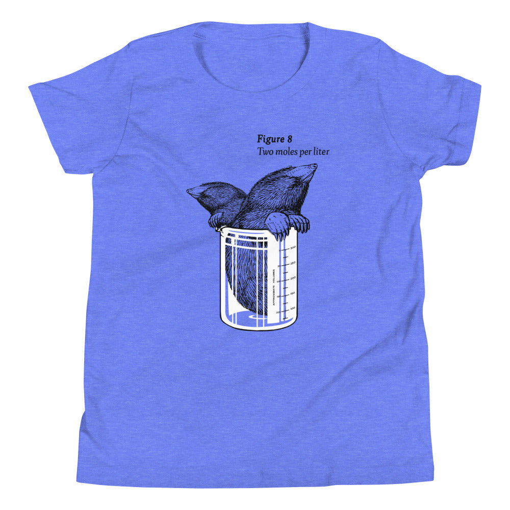 Two Moles Per Liter Kid's Youth Tee product image 3