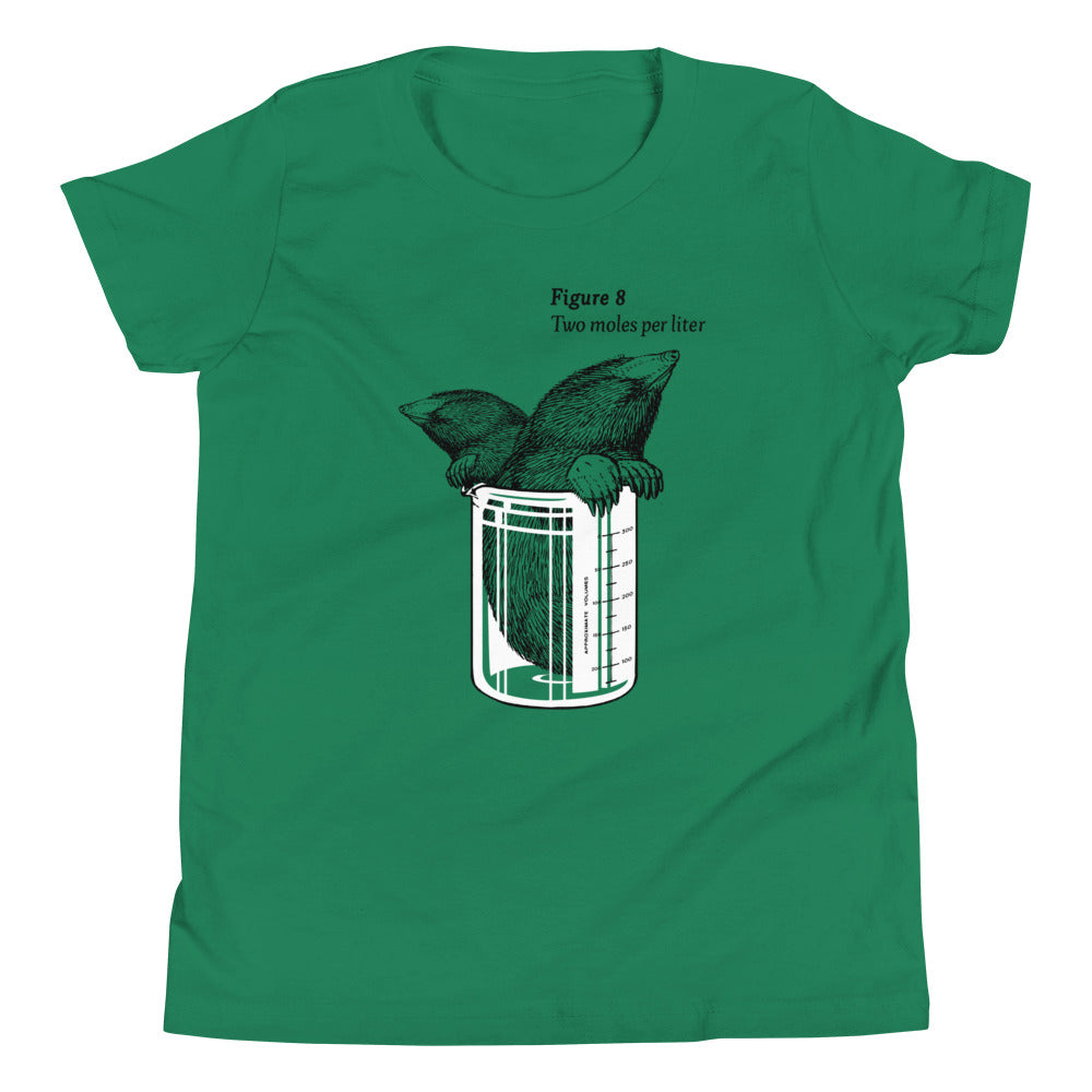 Two Moles Per Liter Kid's Youth Tee product image 4