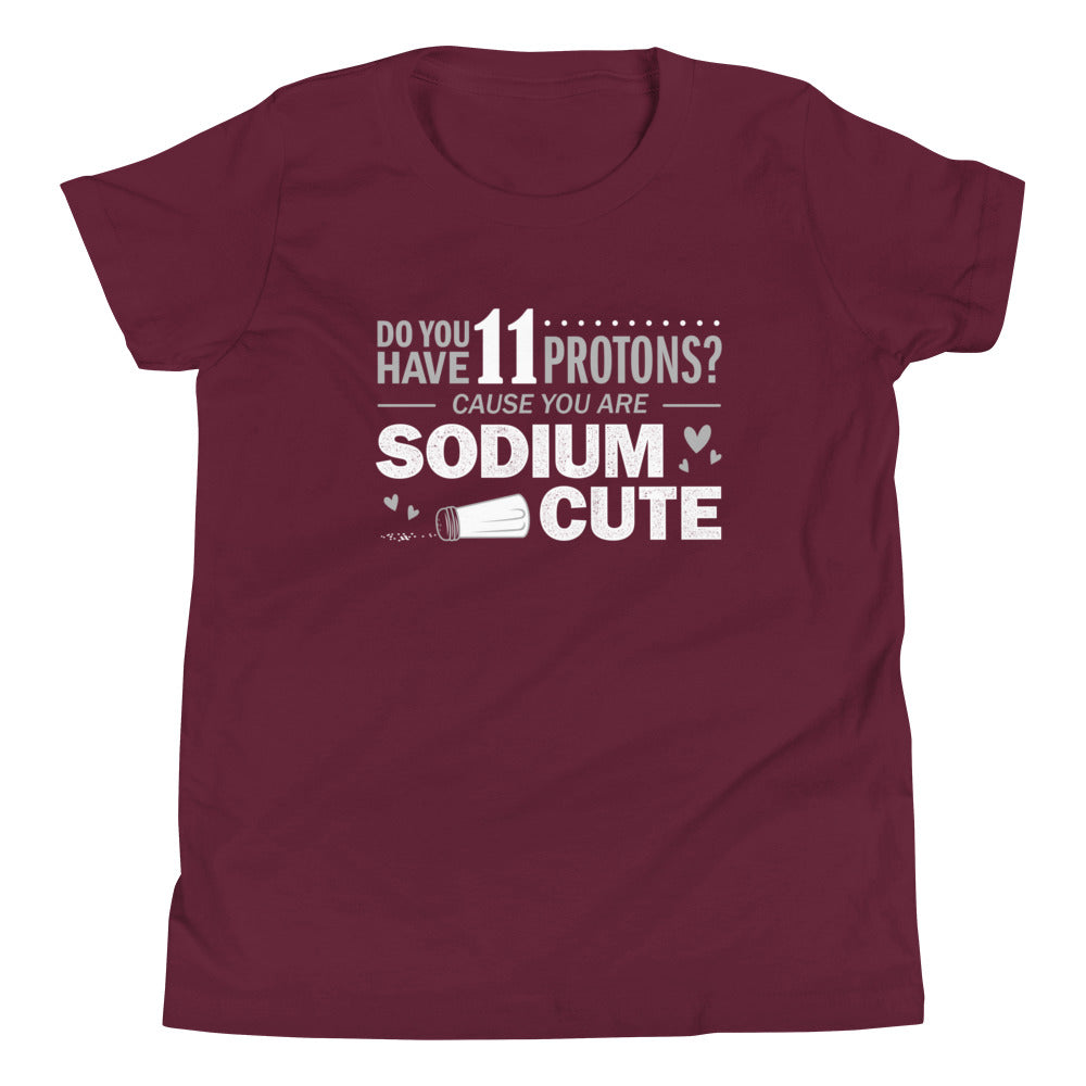 Do You Have 11 Protons? Kid's Youth Tee product image 3