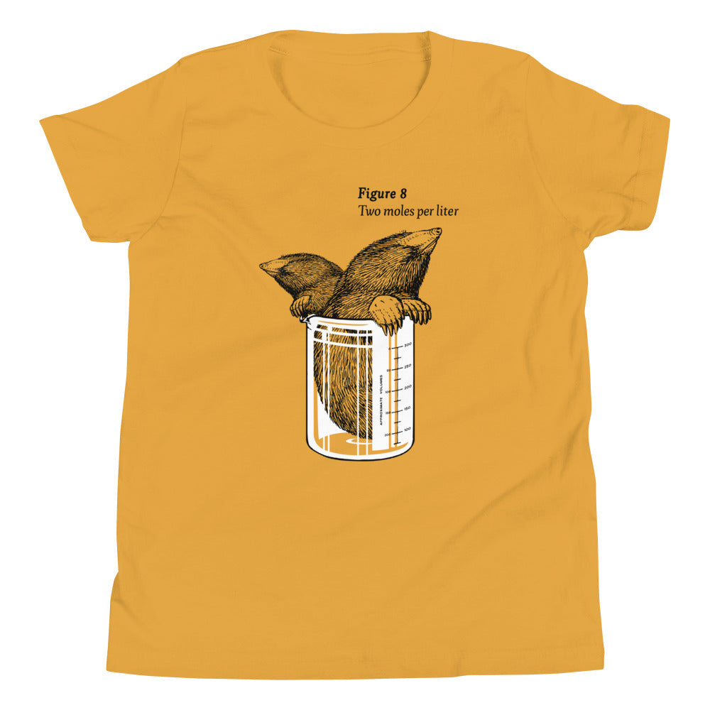 Two Moles Per Liter Kid's Youth Tee product image 2
