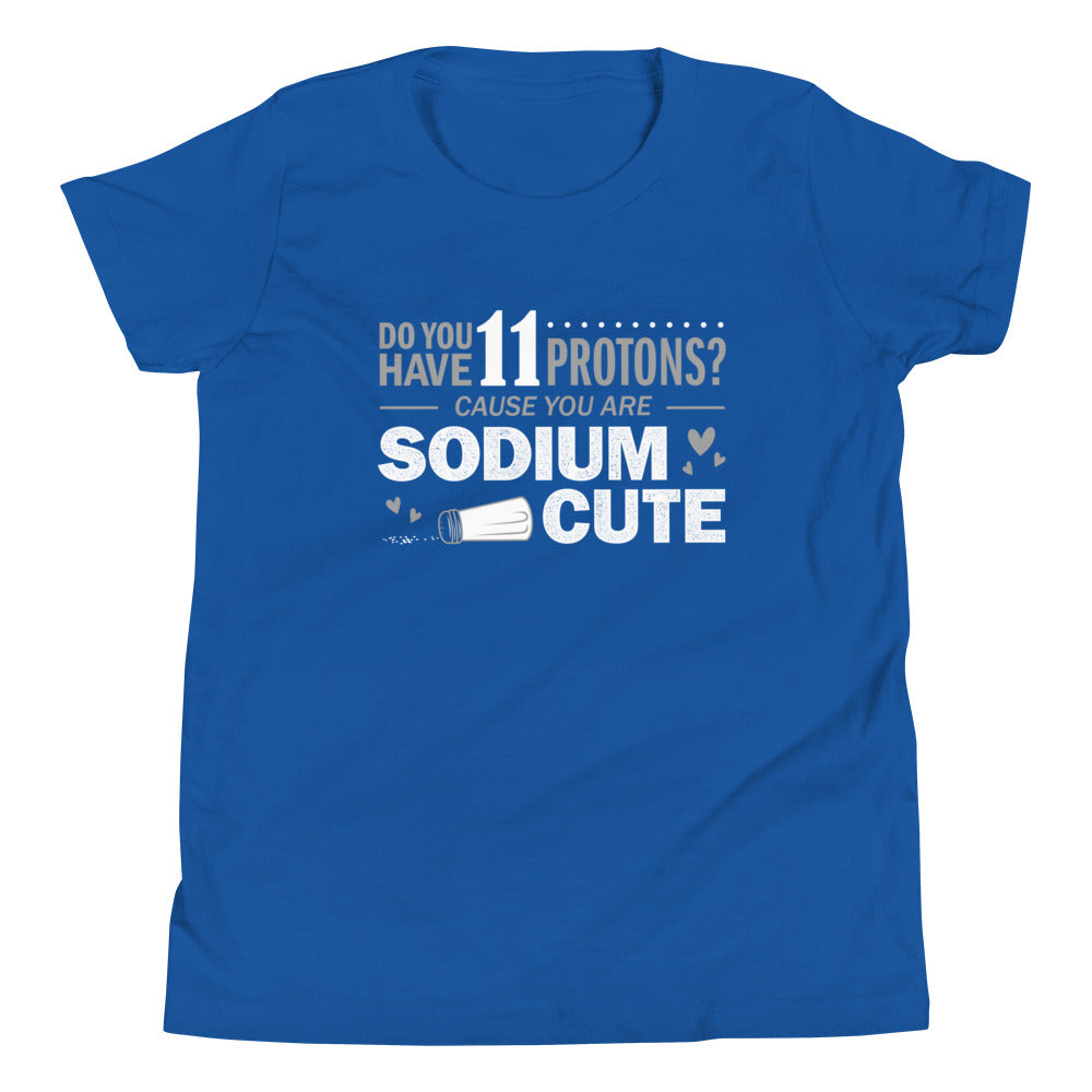 Do You Have 11 Protons? Kid's Youth Tee product image 4